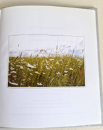 "Ясная Поляна. Путеводитель по заповеднику." Никитина Нина