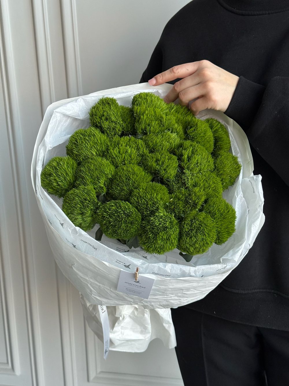 Моно букет из диантусов сорта Грин трик 25 шт