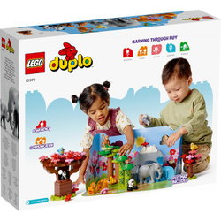 Конструктор LEGO DUPLO - Азиатские дикие животные 10974
