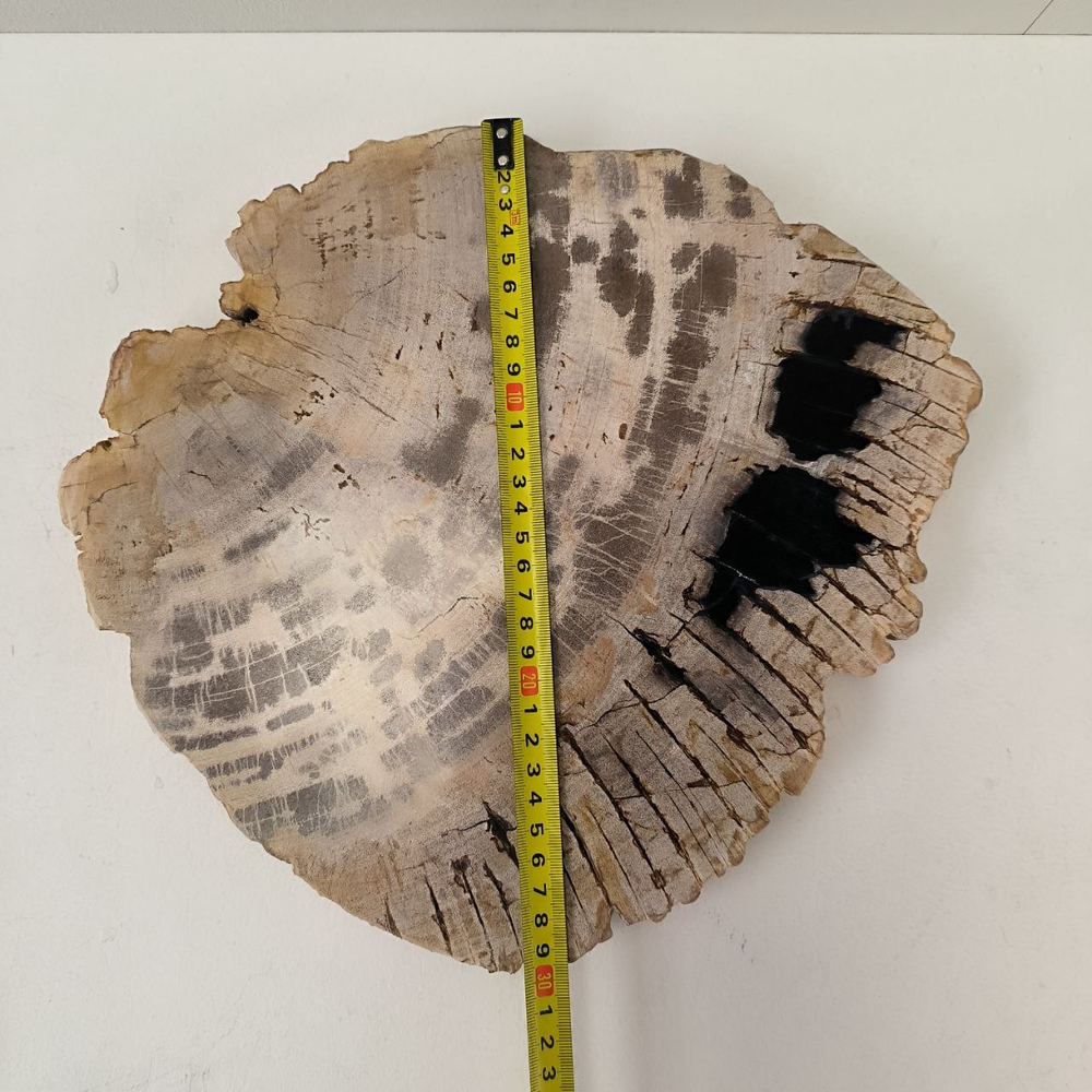 Набор из окаменелого дерева 4 предм Fossil Set NF-63284 поднос 149
