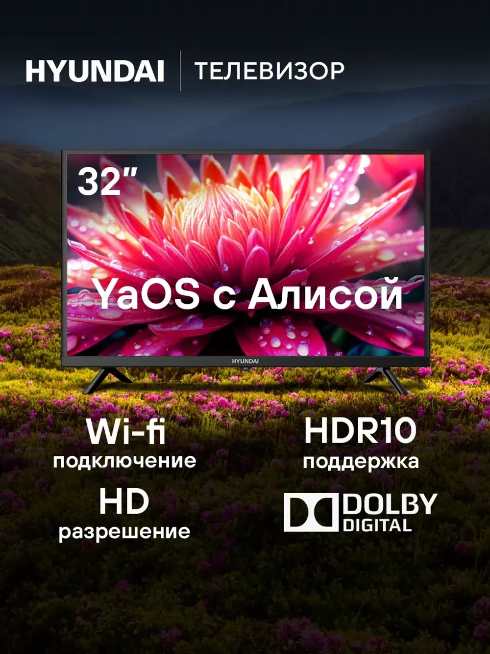 Телевизор LED 32" H-LED32BS5003