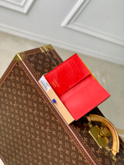 Louis Vuitton Passport Cover