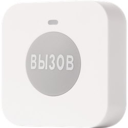 Кнопка вызова iKnopka APE520-F