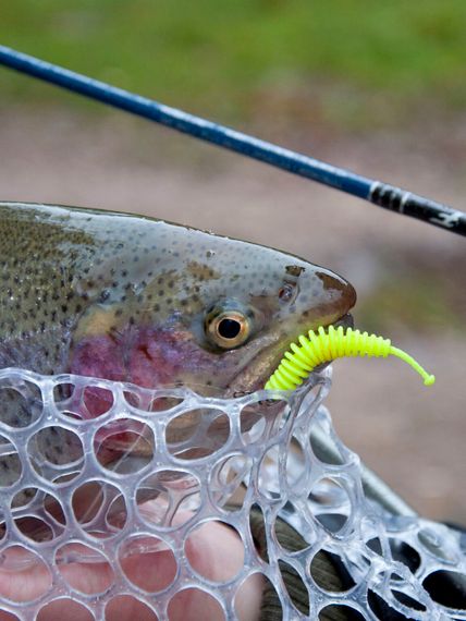 Слаги съедобные LJ Pro Series TRICK WORM 2,0in (5 см), цв. S88, 10 шт.