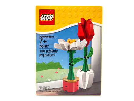 Конструктор LEGO 40187 Комнатные цветы