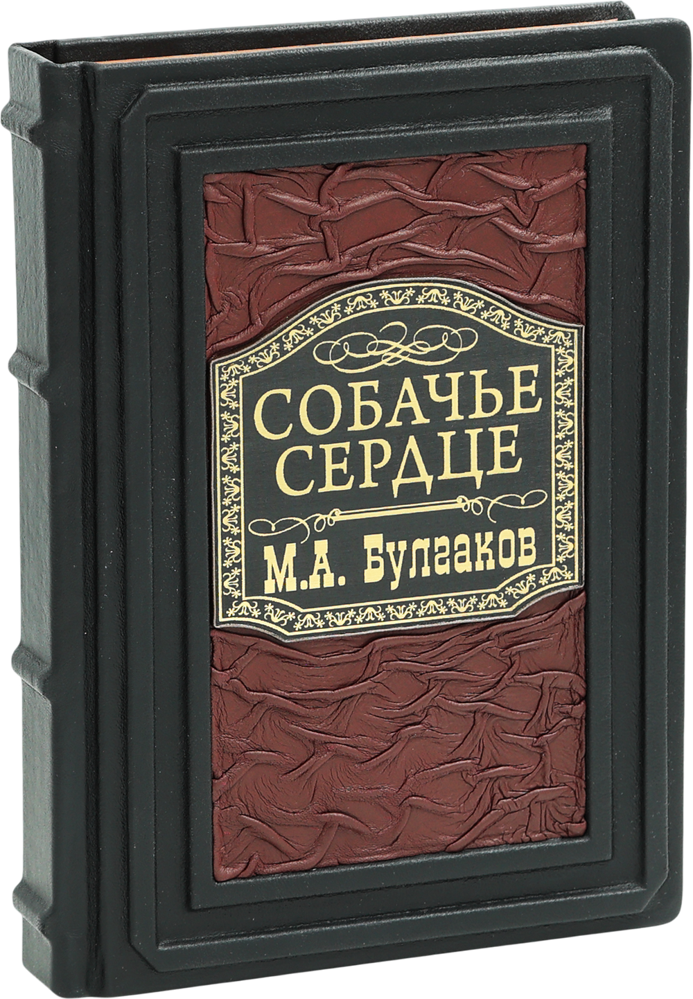 Собачье сердце и другие московские фантасмагории