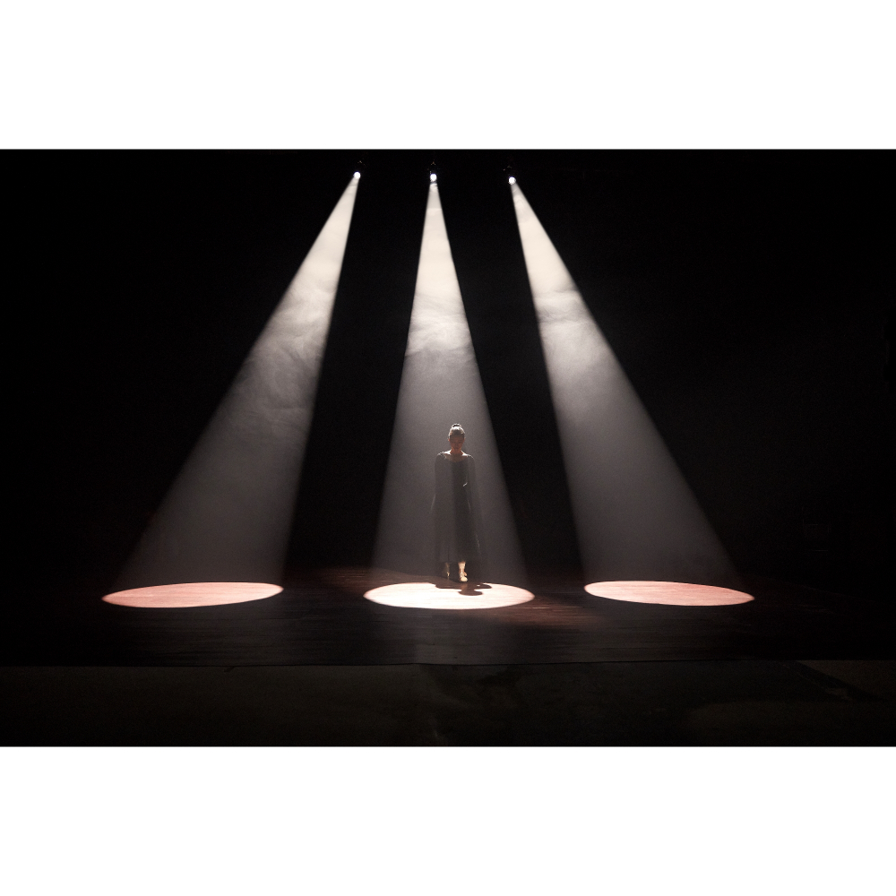 Проекционная насадка Godox VSA-19K с линзой 19°