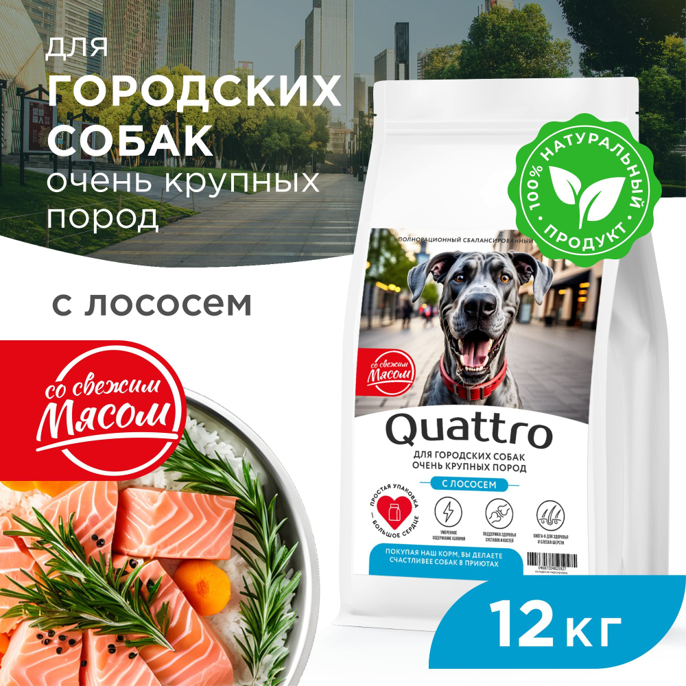 Корм сухой для взрослых собак очень крупных пород, премиум полнорационный комплекс, для городских собак, с лососем, 12 кг, QUATTRO