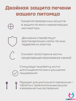 Урсогем гепатопротектор для защиты и восстановления печени и желчевыводящих путей для собак 5-10 кг, 20 таблеток (NITA-FARM)