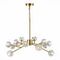 Подвесная люстра ST Luce Romano SL1166.303.12