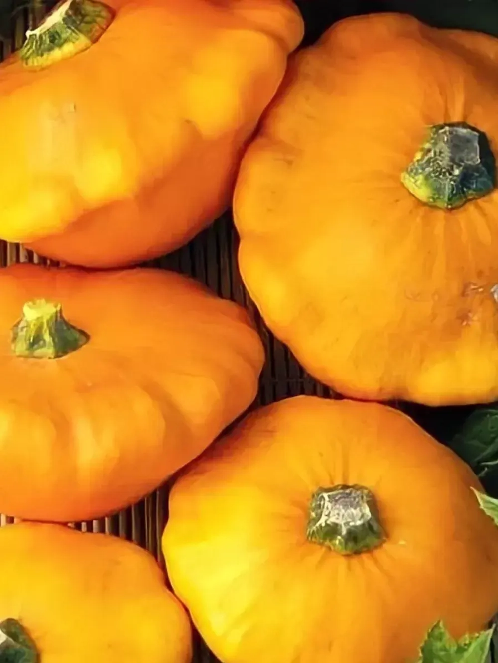 Семена патиссон нло оранжевый