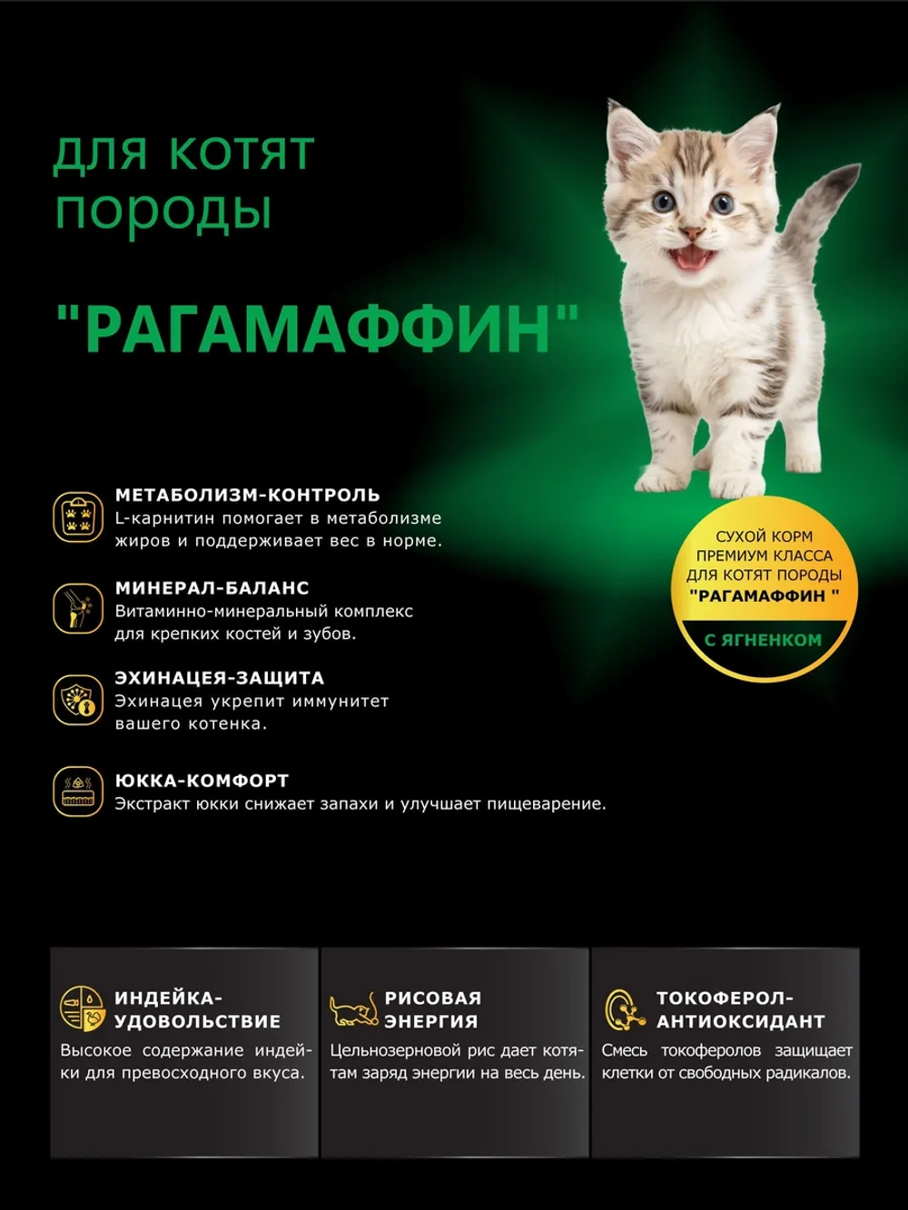 Корм для котят породы РагаМаффин, с ягненком, 2 кг