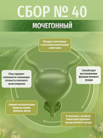 Сбор № 40 Мочегонный