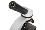 Микроскоп Levenhuk Discovery Nano Polar с книгой