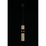 Подвесной светильник Aployt Brizhit APL.615.16.01