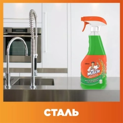 Mr Muscle для стекол с нашатырным спиртом 750 мл