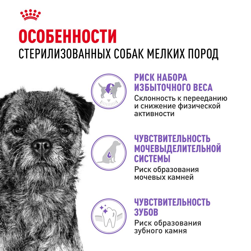 Сухой корм Royal Canin Mini Sterilised для взрослых стерилизованных собак мелких размеров, склонных к набору веса Сухой корм Royal Canin Mini Sterilised для взрослых стерилизованных собак мелких размеров, склонных к набору веса