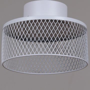 01110-0.9-01 WT светильник потолочный