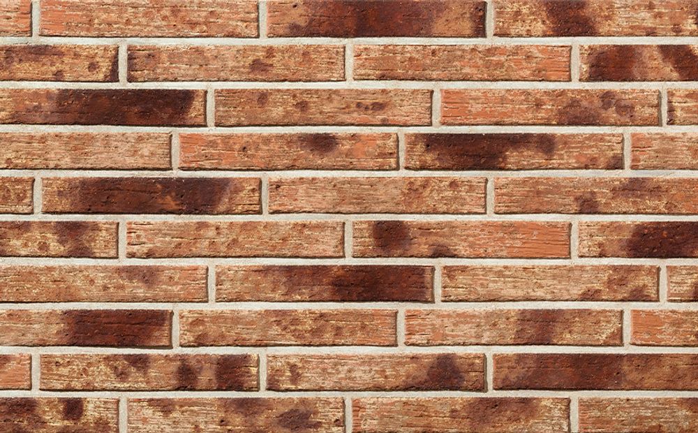 Кирпич облицовочный Plinfa Cassia 1311, 300x85x50