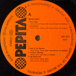 Neoton Family – Sunflower (Венгрия 1980г.) Т