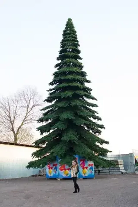 Уличная елка Таежная Премиум зеленая 11 м., ствольная, ПВХ, Green Trees (GT11TAPVC)