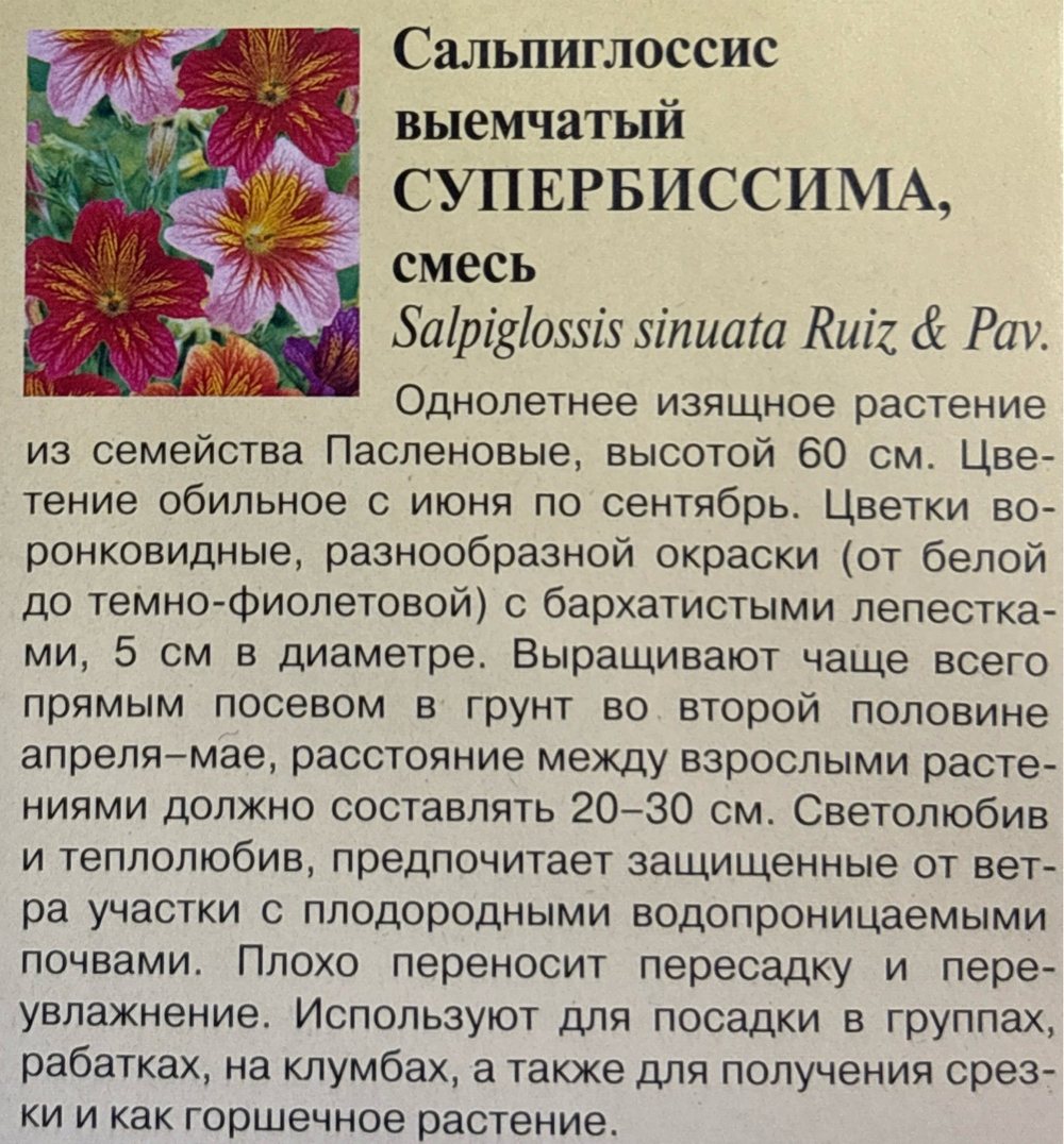 Сальпиглоссис Супербиссима 0,05 г СМЦ-537