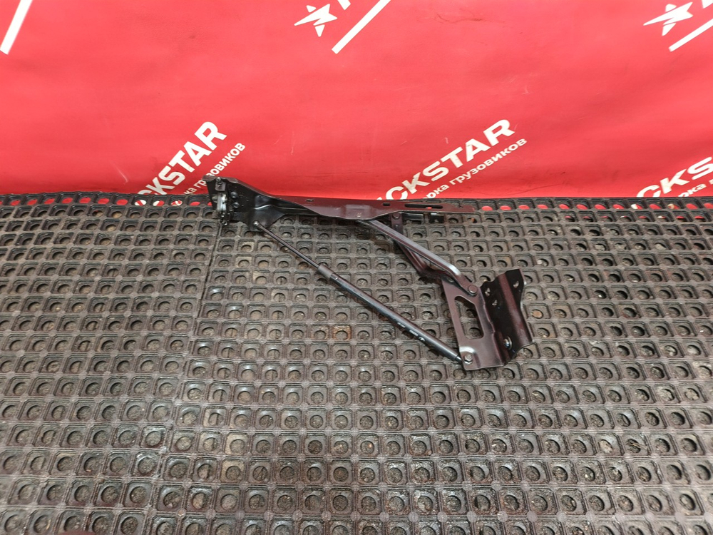 Петля капота левая в сборе