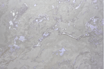 Ateliero 1,06 м 287788 Ametist