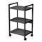10СМН.3.455 Стеллаж мобильный низкий 3 полки, широкий (455*350*790)