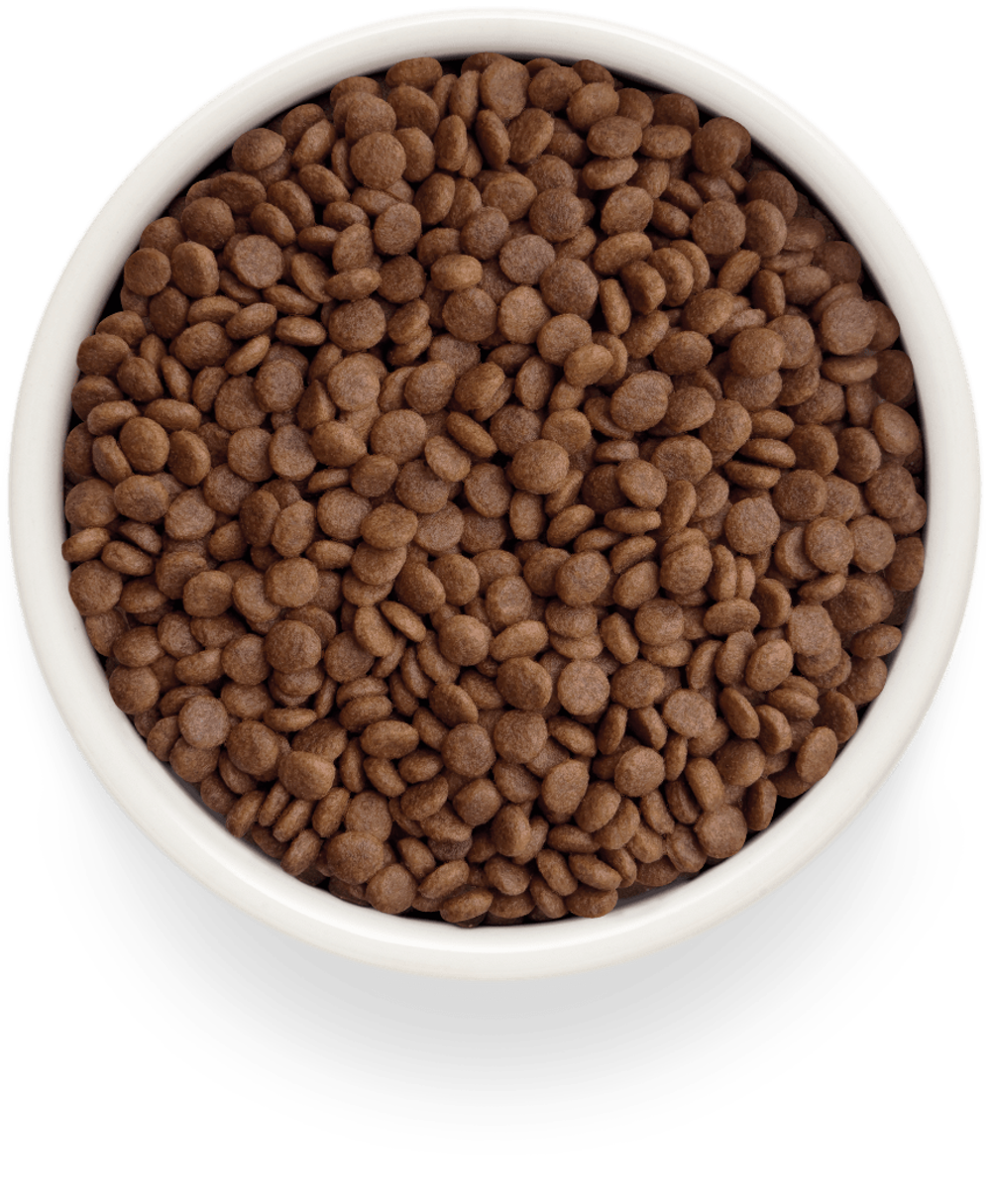 Grandorf Fresh Cat Potato корм сухой беззерновой для кошек ягнёнок,батат