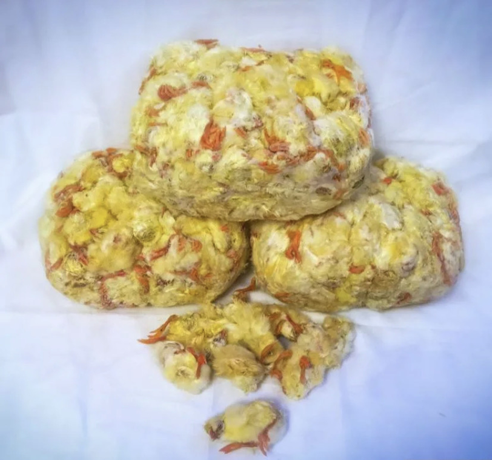 Суточные цыплята (1 шт)