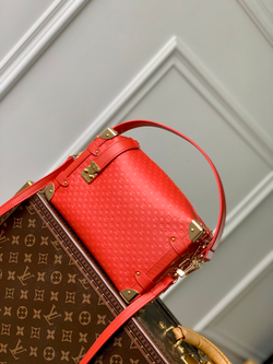 Louis Vuitton Side Trunk MM