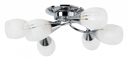 Накладная люстра Arte Lamp A2701PL-6CC