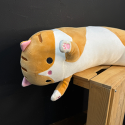 Котик плюшевый