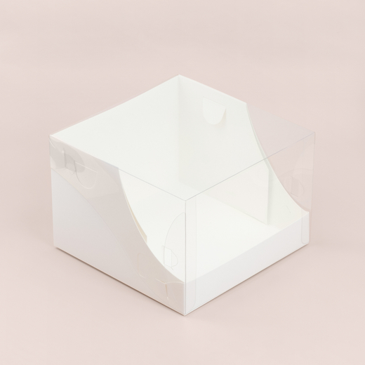 Коробка с пластиковой крышкой 200*200*140 мм