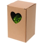 Цветочная композиция «Green garden» 10*12см в горшке, листики