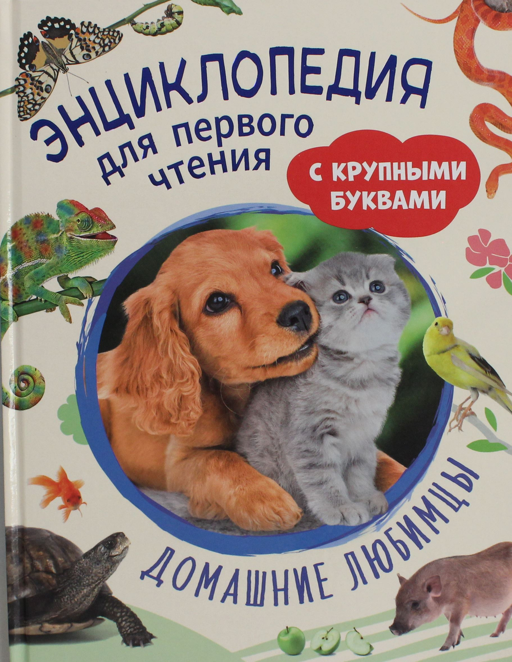 Домашние любимцы. Энциклопедия для первого чтения с крупными буквами