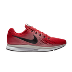 Кроссовки Nike Pegasus 34 Zoom 34