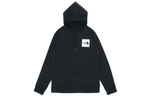 Худи THE NORTH FACE Logo, NF0A5AZF-JK3