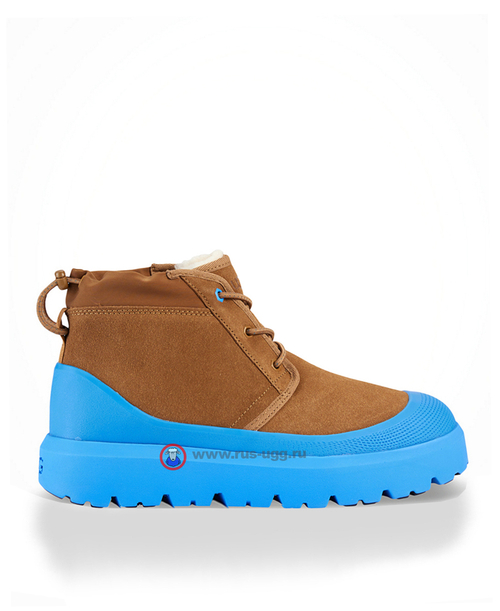 NEUMEL WEATHER HYBRID Chestnut/Navy