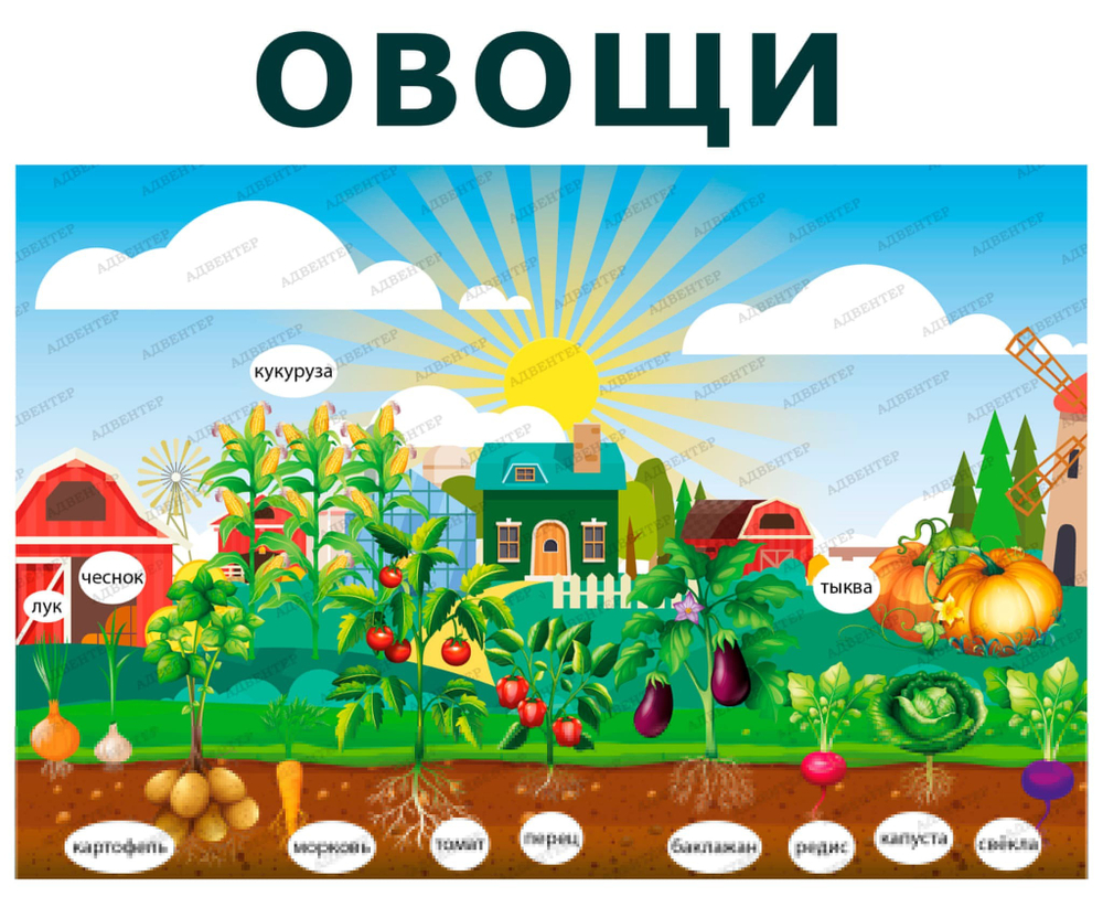 Комплект развивающий Ферма: Овощи 2144