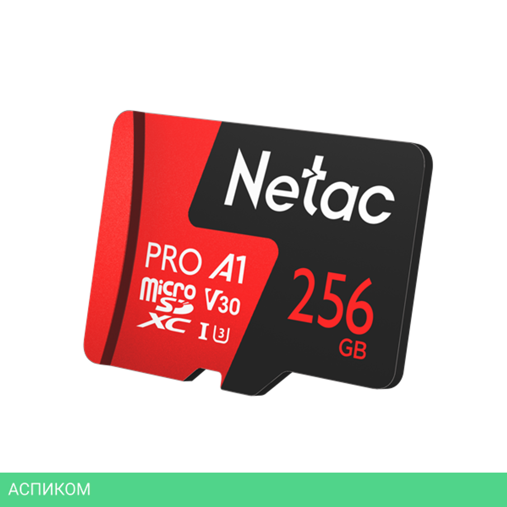Карта памяти Netac NT02P500PRO-256G-R