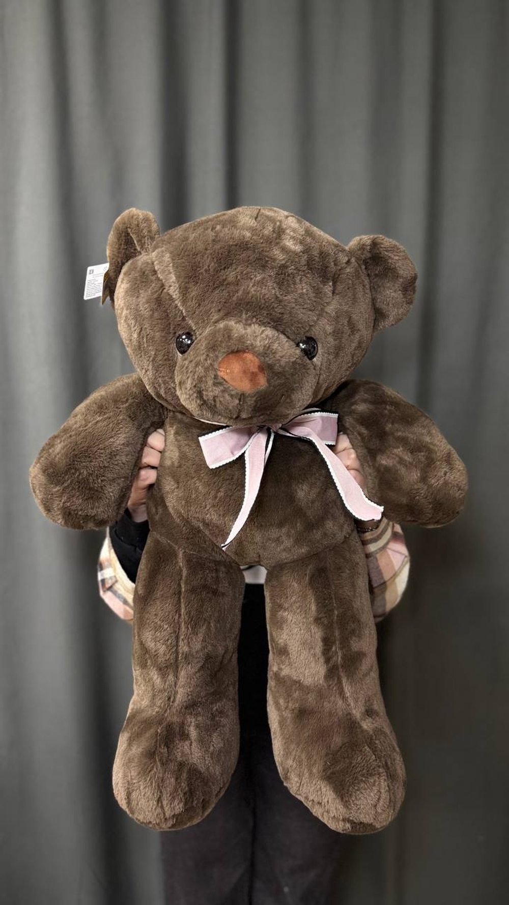 Медведь темно - коричневого цвета