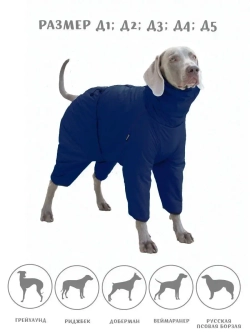 Дождевик для собак средних и крупных пород