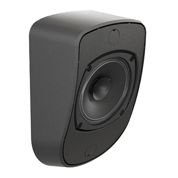 CVGAUDIO WPL10TBL настенная акустическая система, мощность 5W/10W – 100V.