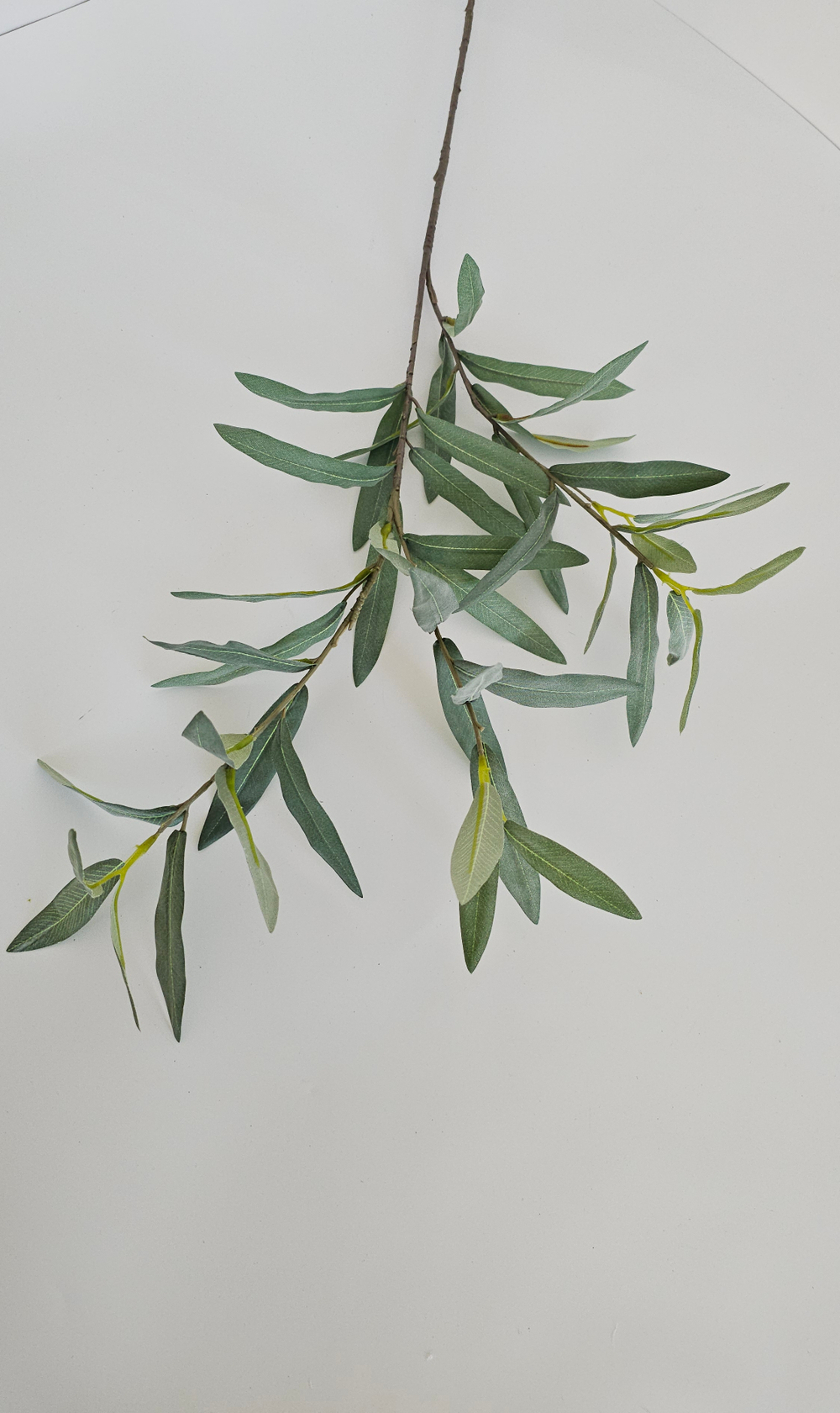 Олива премиум серебристая без плодов / Арт 1151