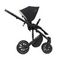 Коляска ANEX m/type PRO 2 в 1 (EP-SE01) anex x Safa Sahin