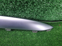 Накладка перед бампера Mercedes GLS x167 19-24 AMG