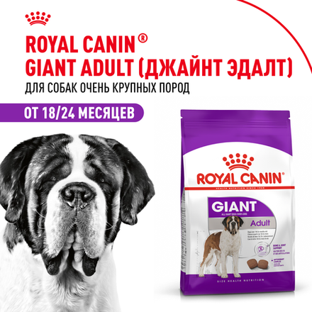 Royal Canin Giant Adult Джайнт Эдалт Корм сухой для взрослых собак очень крупных пород от 18 месяцев 15кг