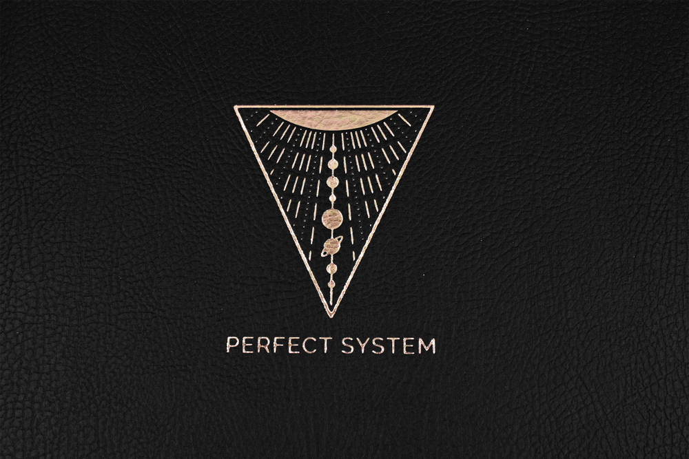Бизнес-тетрадь А4 в клетку PERFECT SYSTEM black твердая обложка - черный Charme с тиснением
